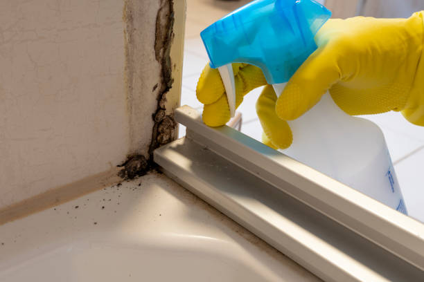 Best Fast Mold Removal  in Goodman, MO